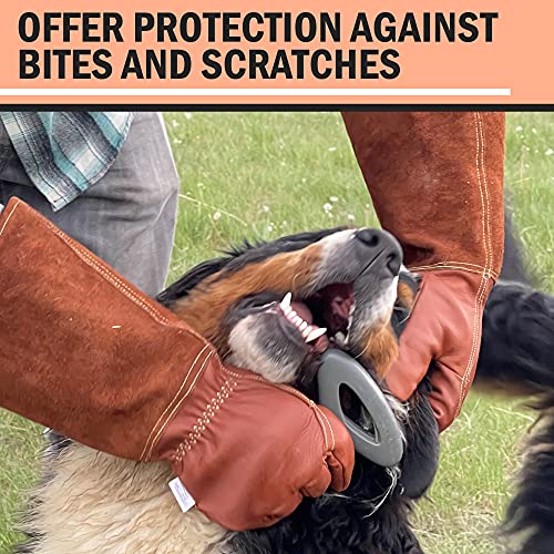 Falconry Elbow Length Protective Animal Handling Gloves Men's Sizes XS, Small, Med, Large, XL, XXL - size: Small