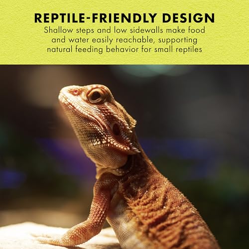 Zilla Terraced Dish, Reptile Feeding Dish, Stable and Spill-Resistant, Ideal for Geckos, Skinks, Snakes and Lizards, Large - size: Large