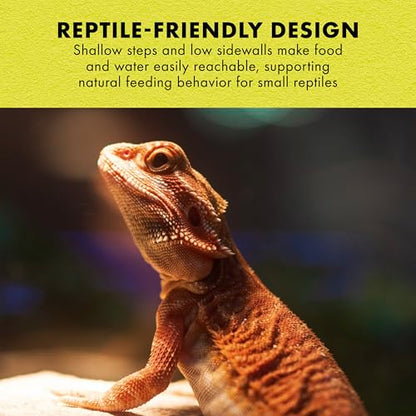 Zilla Terraced Dish, Reptile Feeding Dish, Stable and Spill-Resistant, Ideal for Geckos, Skinks, Snakes and Lizards, Large - size: Large