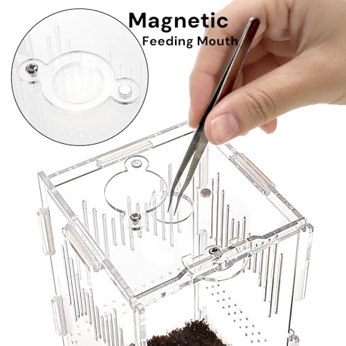 4"x4"x8" Jumping Spider Enclosure, Acrylic Tarantula Tank, Small Reptile Terrarium, Praying Mantis Habitat, Critter Keeper for Scorpion Isopod Iguana Leopard Gecko Frog Bearded Dragon