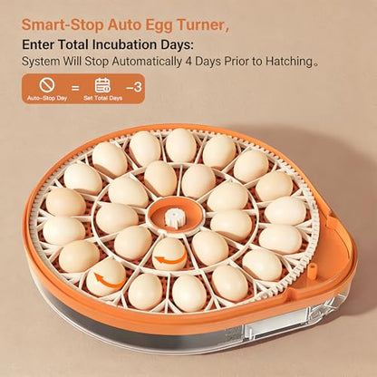 26-59 Egg Incubator with Automatic Egg Turning, Voice-Controlled Machine,Temperature & Humidity Control, Built-in Egg Candler, 360° View Clear Lid for Hatching Chicken Duck Quail Goose Eggs - color: Orange