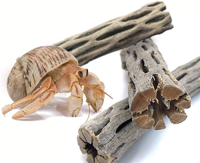 SunGrow Hermit Crab Woods, Climbing Logs, Chews, Keep Hermies Busy and Active, Long Dried Aquarium Décor Adds Raw Beauty