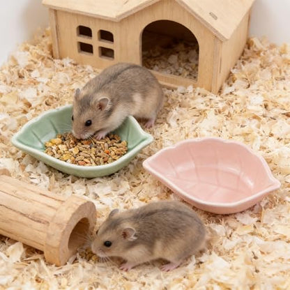 Small Ceramic Bowls, Leaf-Shaped Hamster Food and Water Bowl for Hamsters Guinea Pigs Reptile Hermit Crab and Birds, Easy to Clean & Anti-Bite (Green) - color: Green