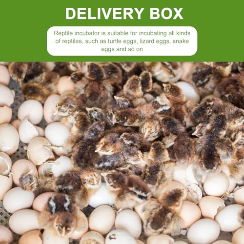 2pcs Reptiles Egg Incubator Habitat Cage Feeding Hatching Container Incubator Reptile Breeding Box 16 Holes Portable Plastic Mini Pet Houses for Hatching Reptile Spider Snake