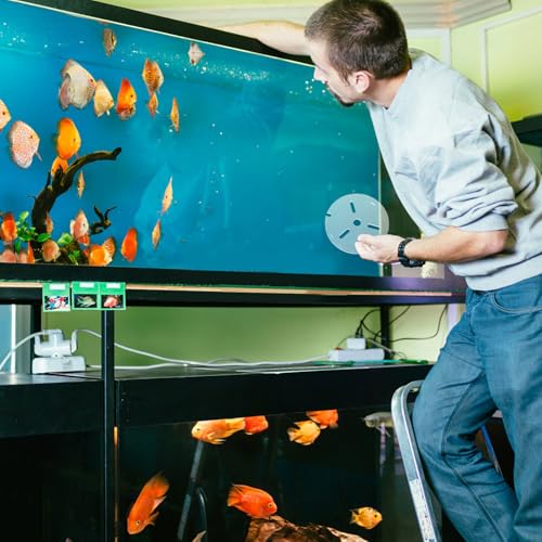 Clear Fish Tank Lid - 6 Inch Acrylic Anti Jumping Aquarium Cover with Hole - Transparent Top Hood Grid Panel Pet Supplies for Turtles Reptiles Shrimp