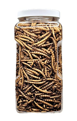 Superworms- Freeze Dried Superworms for Tropical Fish, Reptiles, Turtles, Tortoises, Frogs, Hamsters, Birds, Rodents…8oz Med Jar - size: 8 Ounce (Pack of 1)
