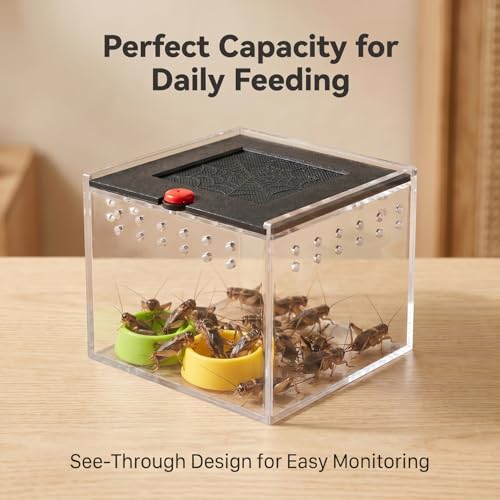 Cricket Keeper - Escape-Proof Insect Habitat Container for Dubia Cockroaches, Tarantulas, Spiders and Breadworms - Ventilated Bug Cage with Feeding Bowl (No Assembly Needed) (Transparent) - color: transparent
