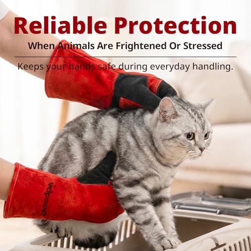 vclpower Animal Handling Gloves Size M Fit for Women & Small Hands Bite Proof Double Leather Reinforced Padding Dog,Cat Scratch,Bird Handling Falconry Gloves Grabbing Reptile Squirrel Snake Bite 16in | Size M Fit for Women & Small Hands - size: M
