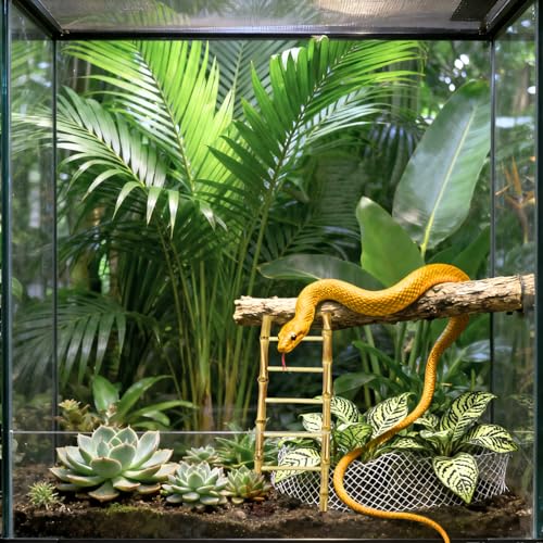 Snake Climbing Ladder Reptile Decor for Terrarium Exercise Enrichment for Ball Pythons Corn Snakes Lizards