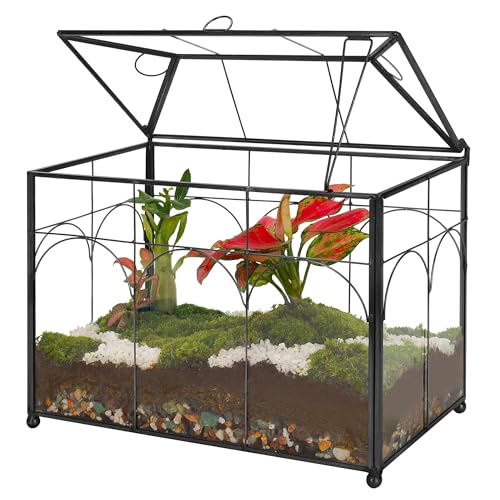 REDHUGO Handmade Glass Planter Terrarium with Lid, Indoor Tabletop Centerpiece Display Box Modern Decor DIY Gift Plant Terrarium Container for Succulent Cacti Air Plants Flower (Black) - color: Black
