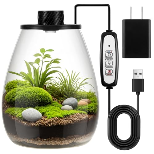 Maxdot Glass Plant Terrarium Kit with LED Grow Light, Desk Terrarium for Venus Fly Trap, Succulents, Moss & Miniature Garden, Borosilicate Glass Desktop Planter for Home Office(6.9 x 7.8 Inch) - size: 6.9 x 7.8 Inch