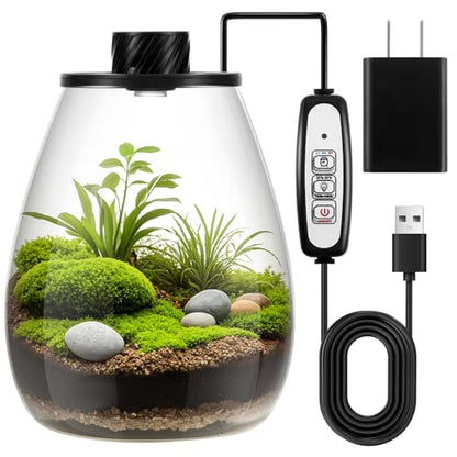 Maxdot Glass Plant Terrarium Kit with LED Grow Light, Desk Terrarium for Venus Fly Trap, Succulents, Moss & Miniature Garden, Borosilicate Glass Desktop Planter for Home Office(6.9 x 7.8 Inch) - size: 6.9 x 7.8 Inch