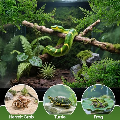 RAINFLOW 2PCS Reptile Plants for Terrarium - Fake Hanging Terrarium Plants, Artificial Boston Fern for Bearded Dragon Snake Geckos Hermit Crab Lizard Chameleon Turtle Reptile Decor(L30 xW5.1) - size: 30"x5.1"