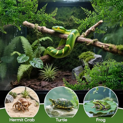 RAINFLOW 2PCS Reptile Plants for Terrarium - Fake Hanging Terrarium Plants, Artificial Boston Fern for Bearded Dragon Snake Geckos Hermit Crab Lizard Chameleon Turtle Reptile Decor(L30 xW5.1) - size: 30"x5.1"