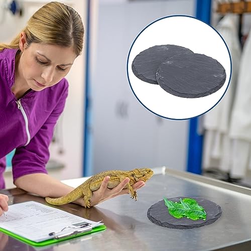 POPETPOP Turtle Basking Platform -2pcs Reptile Basking Rock Turtle Resting Platform Tortoise Habitat Accessories for Bearded Dragons Amphibians Leopard Gecko