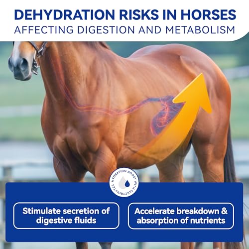 Horse Electrolytes Powder, Electrolyte for Horses with Sodium & Potassium, Equine Hydration Supplement 420g - size: Box