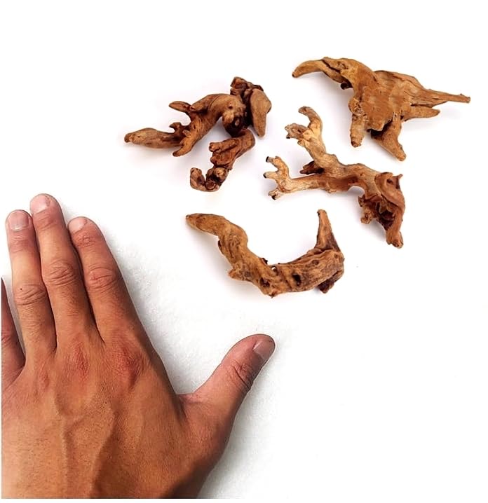 YZHZOM Small Natural Driftwood for Aquarium Styling Carefully Selected Natural Aquarium Decor Driftwood for Reptile Tank Reptile Tank Wood Decor (Driftwood 4-6inch 4pcs) - style: Driftwood 4-6inch 4pcs