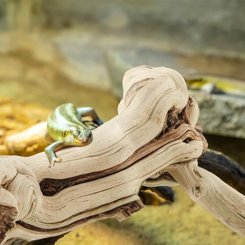 Janinka 10-12" Length Large Wood Reptile Branch for Bearded Dragon Driftwood Reptile Climbing Habitat Decoration for Terrarium Tree Trunk Ornament Gecko Frog Chameleon Spider - size: 10-12"