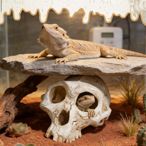 Wowagoga Resin Skull Cave Decor, Gothic Skull Terrarium Cave, Halloween Skeleton Cave Ornament, Aquarium Reptile Hideout, Desktop Home Office Spooky Decoration