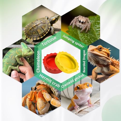 30 Pcs Crested Gecko Food and Water Feeding Cups, Colorful Water Bowl, Reptile Food Dish for Tortoise, Small Pet and Crab (Multicolor)