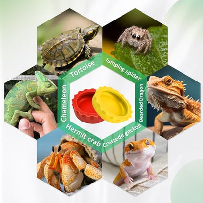 30 Pcs Crested Gecko Food and Water Feeding Cups, Colorful Water Bowl, Reptile Food Dish for Tortoise, Small Pet and Crab (Multicolor)