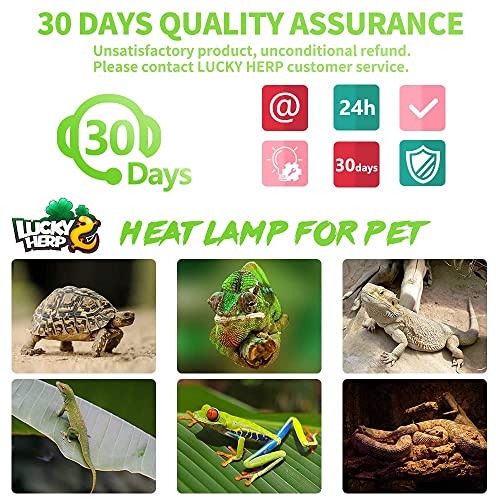 LUCKY HERP 4 Pack 100W Reptile Heat Lamp Bulb (2nd Gen), Amphibian Basking Light Bulb, Reptile Daylight Bulb for Turtle, Bearded Dragon, Lizard Heating Use - size: 100