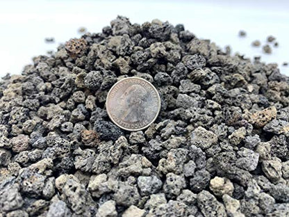 Black Lava Rock | 2 Quarts Bag | 1/4” Particle Size | Soil Aggregate for Bonsai, Cactus, Succulents, Aquariums, and More | Enables Optimal Drainage and Soil Aeration | The Bonsai Supply - size: Black Lava Rock 2 Quarts