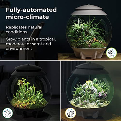 biOrb AIR 30, Fully Automated Terrarium for Arid, Temperate, or Tropical Plants, White - color: White