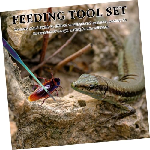 2pcs Aquarium Tweezers: Stainless Steel Straight And Curved Tweezers Set - Long Handle Reptile Feeding Tongs For Lizards Spider Snake