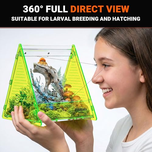 Triangular Jumping Spider Enclosure, Acrylic Terrarium with Magnetic Doors, 0.8mm Micro-Ventilation& Escape-Proof Design for Tarantulas, Lizards, Small Pets (Green,6.5"x7.3"x7") - size: 1Pack, Green,6.5"x7.3"x7"