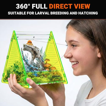 Triangular Jumping Spider Enclosure, Acrylic Terrarium with Magnetic Doors, 0.8mm Micro-Ventilation& Escape-Proof Design for Tarantulas, Lizards, Small Pets (Green,6.5"x7.3"x7") - size: 1Pack, Green,6.5"x7.3"x7"