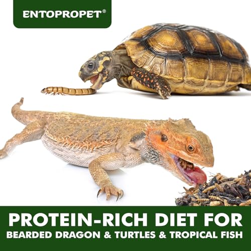 Dried Mealworms and Crickets - Higher in Calcium Bearded Dragon Food, 5 oz - size: 5 Ounce (Pack of 1)