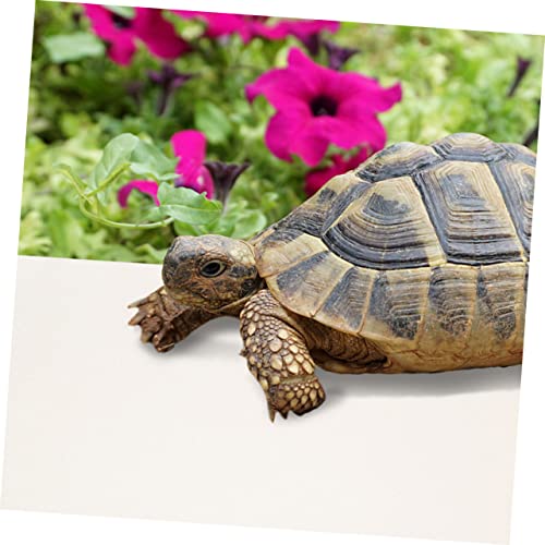 MERRYHAPY Eva Reptile Carpet for Tortoises Lizards and Snakes Soft and Durable Bedding Mat Easy Clean Non-Slip Terrarium Liner for Reptile Habitat - color: White