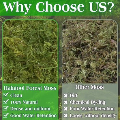 Halatool 2.2LBS Forest Green Moss for Indoor Potted Plants, Orchid Potting Mix, Indoor Potting Plant Moss for Repotting Terrariums Garden Reptiles - size: 2.2lb