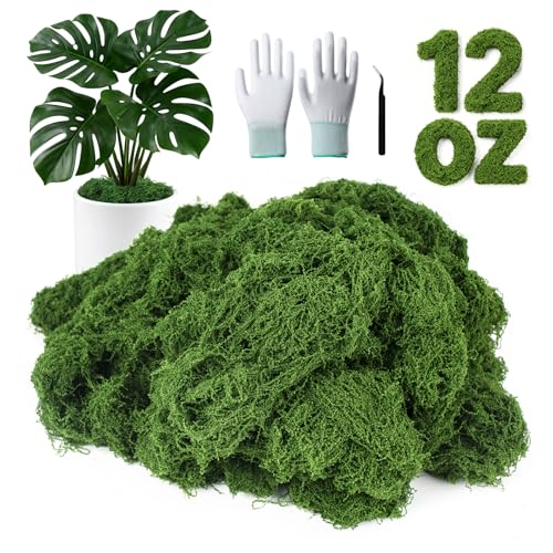 MGLIFEUL 12OZ Artificial Fake Moss for Crafts Plants Indoor with Non-Stick Gloves and Tweezers，Preserved Green Plant Faux Craft Moss Musgo for Fairy Garden Indoor Outdoor Home Decorating Model Making - color: Dark Green, size: 12oz