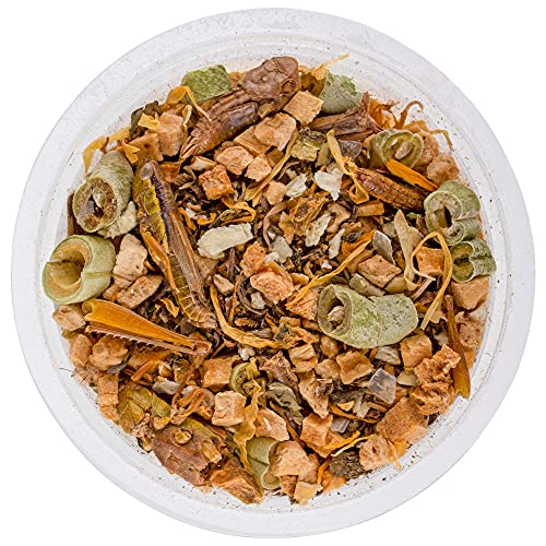 Healthy Herp Bearded Dragon Food Instant Meal for Reptiles - Nutritious Bearded Dragon Accessories, Bearded Dragon Food - Made in USA - for Box Turtles, Lizards, Tortoises - 7 x 0.2 oz (5.7g) Cups - size: 0.2 Ounce (Pack of 7), style: 7-Pack Cups