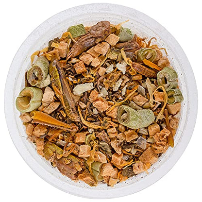 Healthy Herp Bearded Dragon Food Instant Meal for Reptiles - Nutritious Bearded Dragon Accessories, Bearded Dragon Food - Made in USA - for Box Turtles, Lizards, Tortoises - 7 x 0.2 oz (5.7g) Cups - size: 0.2 Ounce (Pack of 7), style: 7-Pack Cups