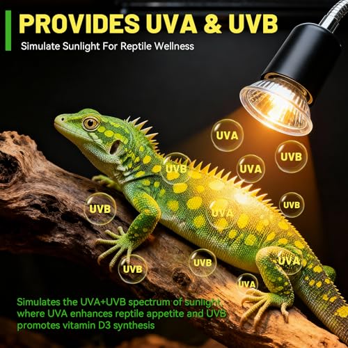 50W UVA UVB Reptile Light Bulb Heat Lamp Bulbs E26 Heat lamp for Reptiles Amphibian Tanks Terrariums Fit for Turtle Lizard Snake Pack of 4