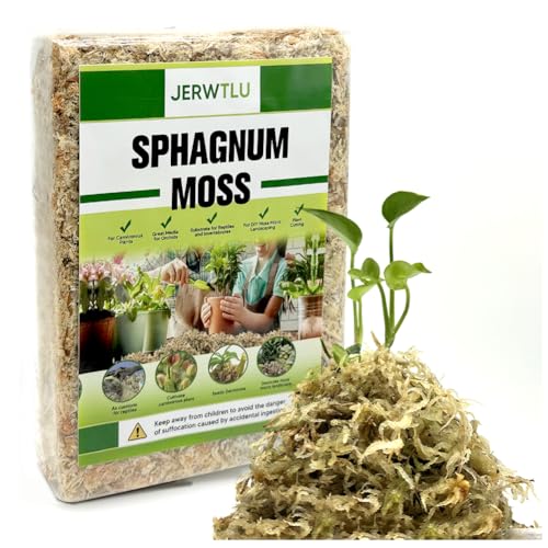Natural Long Fiber Sphagnum Moss 82QT for Orchid Potting Mix,and Moss Pole for Plants Indoor.Ideal for Propagating Plants,Maintaining Humidity for Reptiles, Isopods in Paludarium, Aquascape (1.5 lb) - size: 1.5 LB