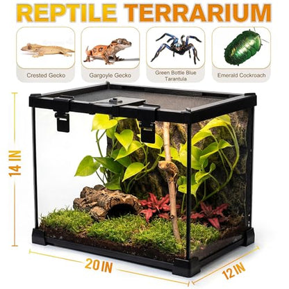 20"x12"x14" Reptile Terrarium, Escape-Proof Glass Arboreal Vivarium for Small Arboreal Reptiles Such as Crested Geckos, with Escape-Proof Lock & Feeding Hatch - size: 20"D x 12"W x 14"H