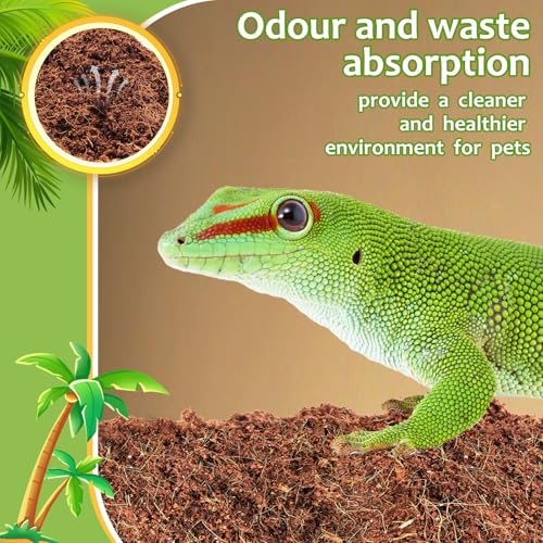 Riare 1 Pack Natural Coconut Fiber Substrate for Reptile- Premium Compressed Coconut Husk Terrarium Bedding for Reptile, Tortoise, Frogs, Snakes Hermit Crabs, Burrowing Animals - color: 1 pack