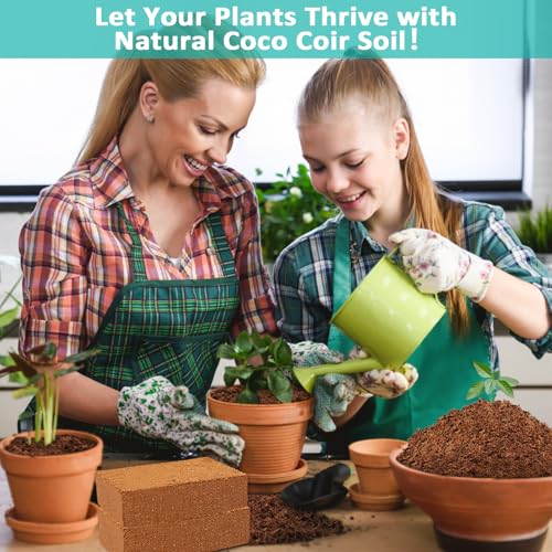 Legigo 10 Pack Premium Coco Coir Brick for Plants- 100% Organic Compressed Coconut Coir Bricks Starting Mix, Coco Coir Fiber Coconut Husk for Planting, Gardening, Potting Soil Substrate, Herbs - color: Pack of 10