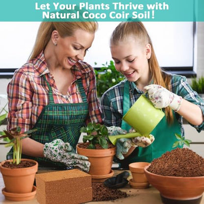 Legigo 10 Pack Premium Coco Coir Brick for Plants- 100% Organic Compressed Coconut Coir Bricks Starting Mix, Coco Coir Fiber Coconut Husk for Planting, Gardening, Potting Soil Substrate, Herbs - color: Pack of 10