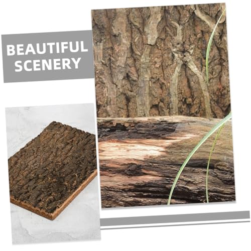 Toddmomy Cork Bark Background for Reptile Tanks and Aquariums Natural Terrarium Decor Safe for Aquatic Animals Compact for Climbing Pets