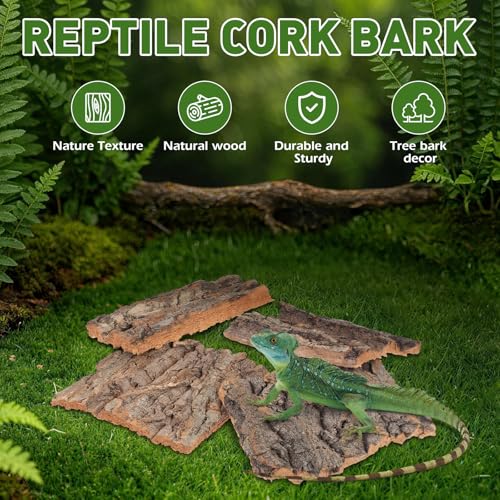 Kisangel 4pcs Reptile Tree Bark, Wood Cork Bark Climbing Platforms and Hide Terrarium Landscape Decor for Turtle, Lizard, Snake Habitat