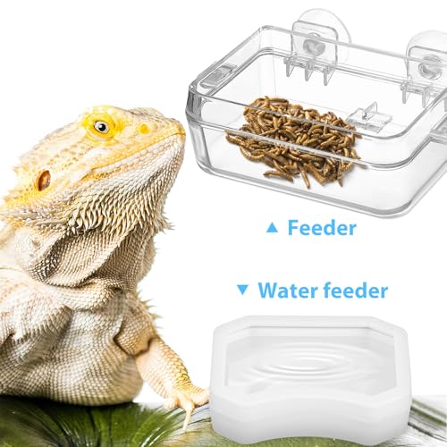 BESPORTBLE 2pcs Reptile Feeder Feeding Bowl Set with Strong Suction Cup for Frogs and Spiders, Plastic Water and Food Dish Adsorbed on Smooth Surfaces for Feeding and Watering