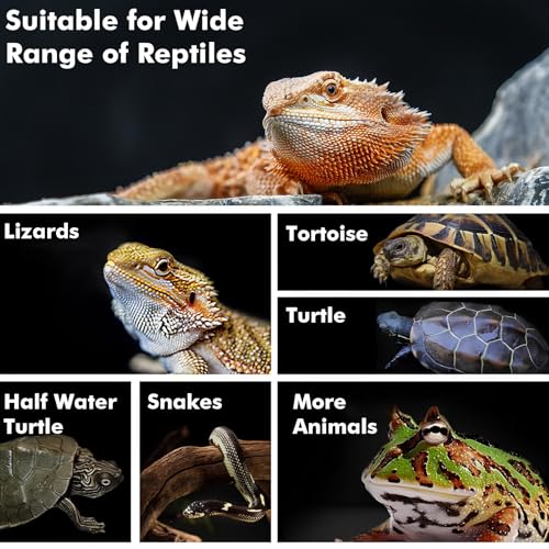 Reptile Heat Lamp, 100W Heat Lamp Bulbs for Reptiles 2 Pack, Amphibians Basking Heat Lamp Bulbs, UVA Daylight Basking Light for Reptiles, Bearded Dragon, Lizard, Turtle, Chicken - style: 100W