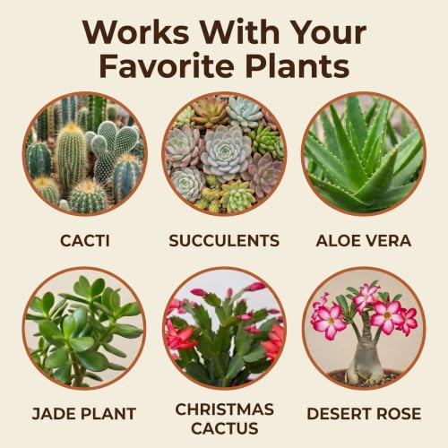 Cactus & Succulent Potting Soil Mix, Fast Draining Blend with Peat Moss, Perlite & Vermiculite – for Cacti, Aloe Vera, Jade, Christmas Cactus & Desert Plants – 4 Dry Quarts, Made in USA - size: 4 Dry Quarts