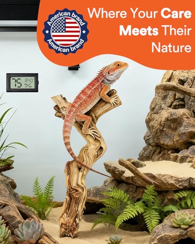 3Pcs Bearded Dragon Wood Branch, Large 14-17 Inch Reptile Wood Logs for ClimbingTerrarium Habitat Decor for Geckos, Chameleons, Frogs & Spiders - size: 1Pcs