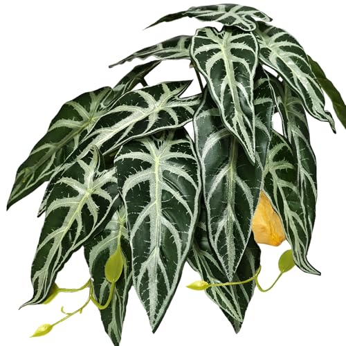 Woyrise Reptile Plants for Terrarium Decor, Ball Python Tank Accessories fit Bearded Dragon Crested Leopard Gecko Lizard Chameleon Snake Frog Tortoise Hermit Crab - Fake Alocasia Black Velvet - color: E-fake Alocasia Black Velvet